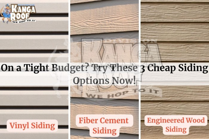 On A Tight Budget? Try These 3 Cheap Siding Options Now! On A Tight Budget? Try These 3 Cheap Siding Options Now!