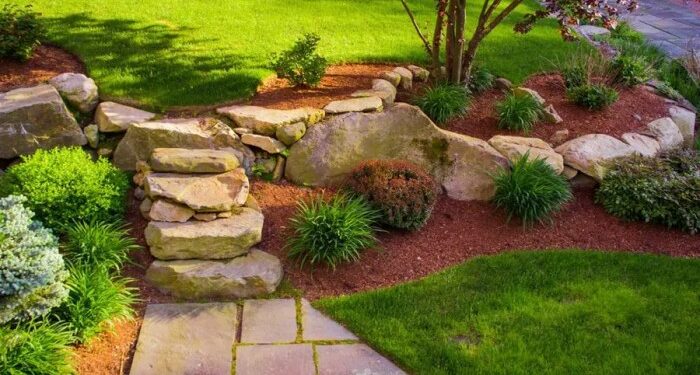 5 Cheap Landscaping Ideas When You’re On a Budget – Forbes Home