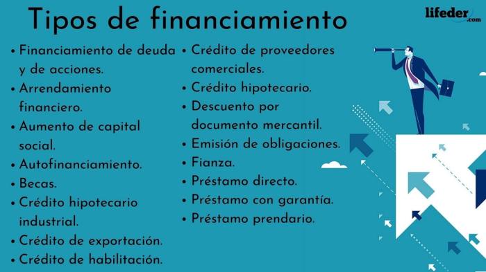 Ejemplos De Financiamiento Interno Y Externo Nuevo Ejemplo Images Ejemplos De Financiamiento Interno Y Externo Nuevo Ejemplo Images